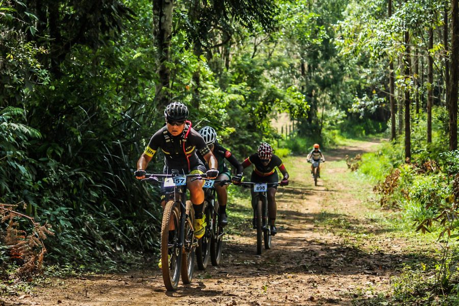 50690924508_088ed4fcc2_k