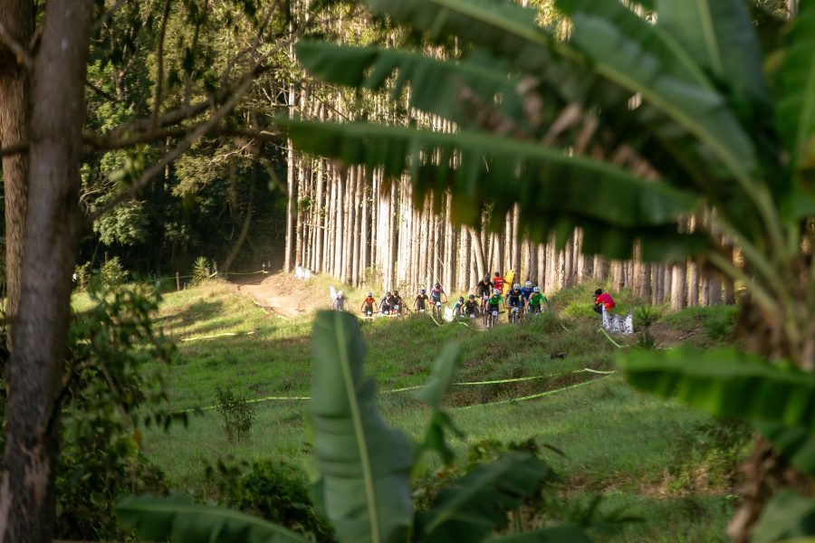 54596070170_55f9f1ed95_k