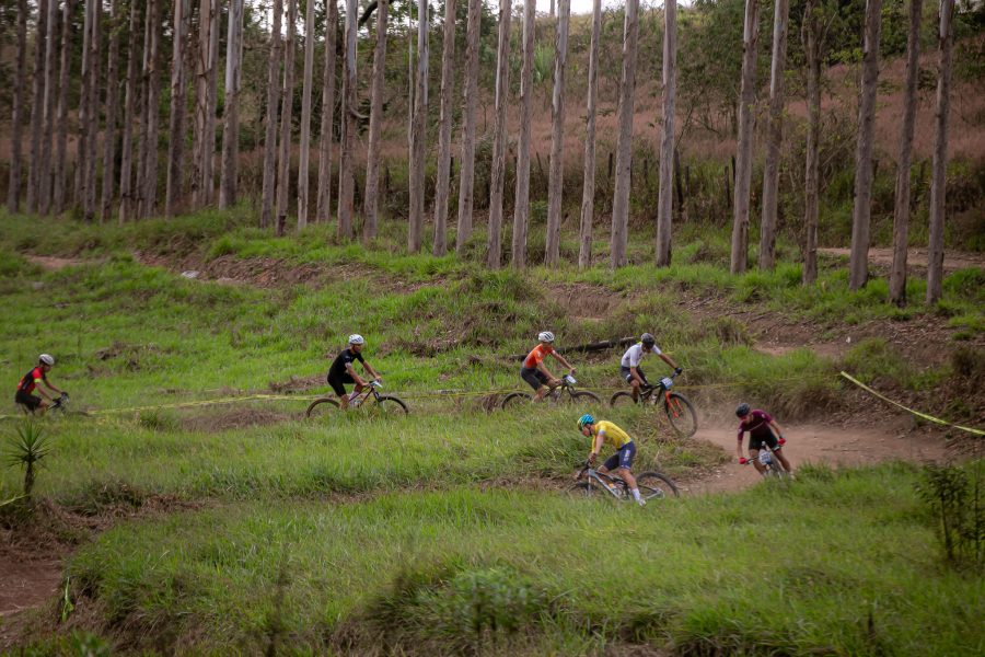 54596137845_99b8063921_k